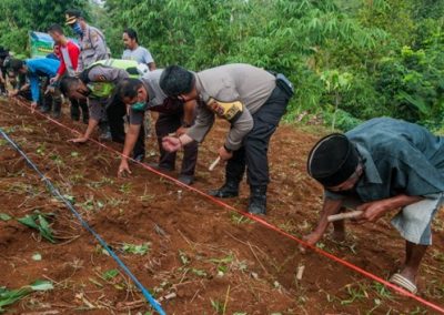 Dampak Sosial dan Ekonomi Replanting Singkong Terhadap Masyarakat