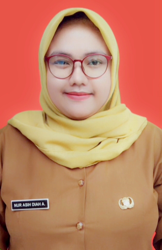 NUR ASIH DIAH ANGGRAENI, S.Ak