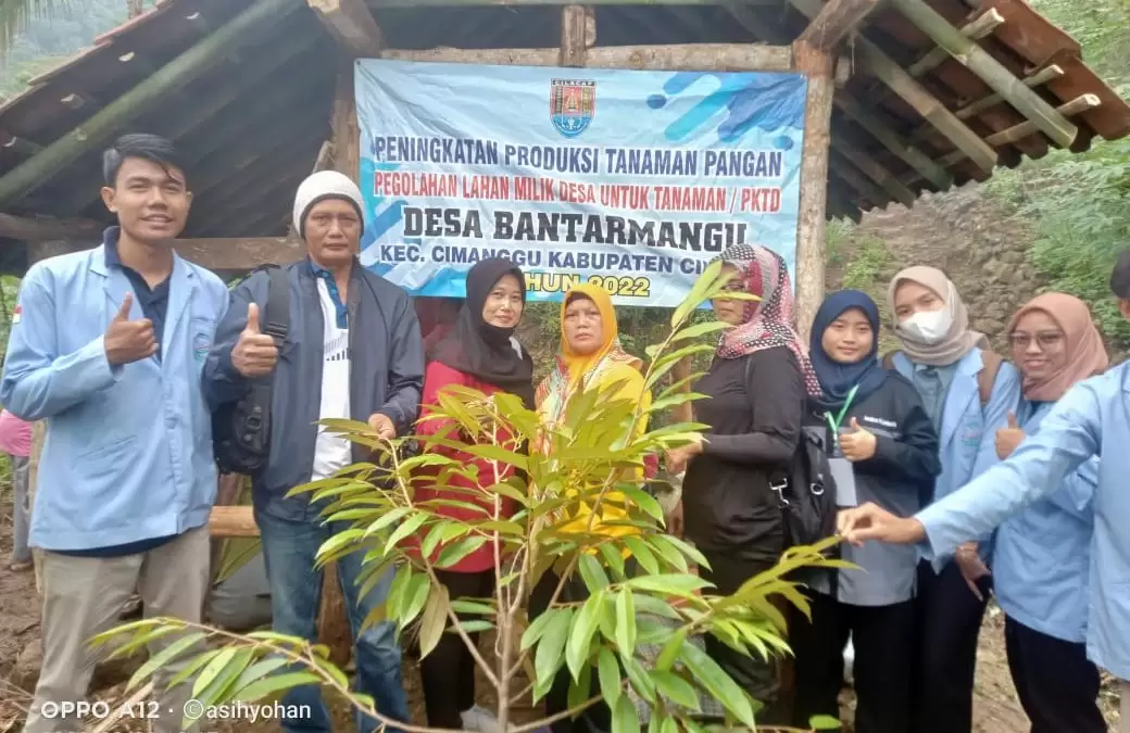 Peningkatan Produksi Tanaman Pangan Dengan Penanaman Pohon Alpukat