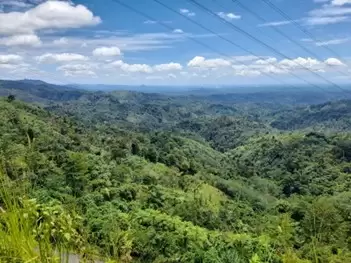 Menghadapi Ancaman Longsor: Himbauan Hidup Aman di Daerah Perbukitan