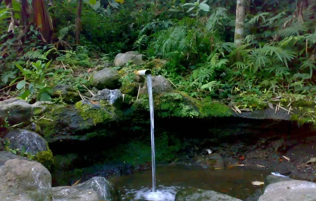 Hutan Pegunungan dan Pasokan Air: Bagaimana Keduanya Berkaitan dan Mengapa Perlu Dijaga